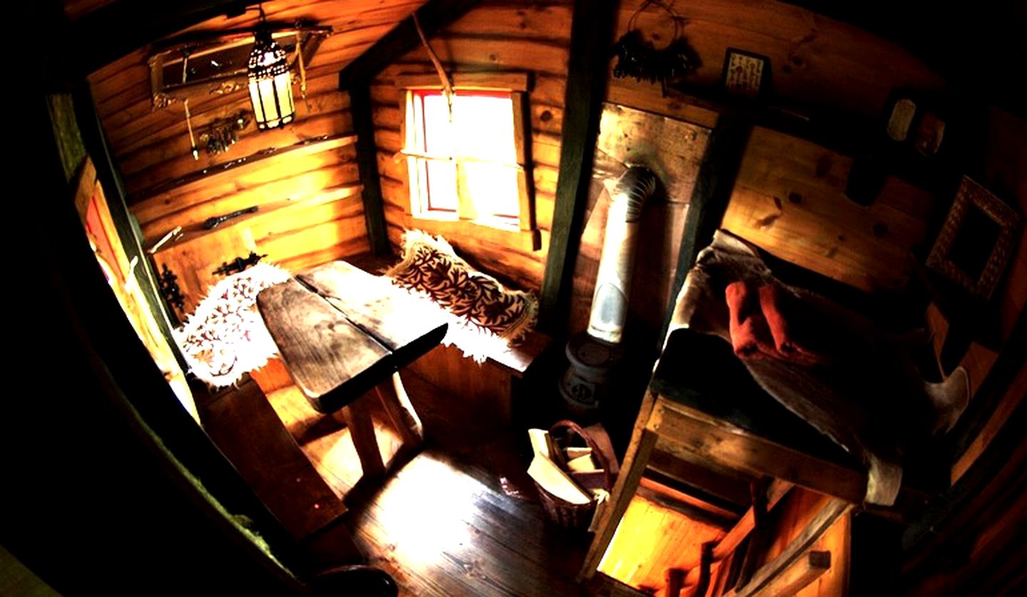 Quirky Treehouses in Germany With Views of River Neisse