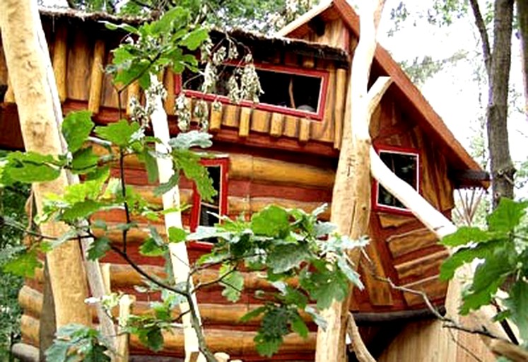 Tree Houses (Neißeaue, Saxony, Germany)