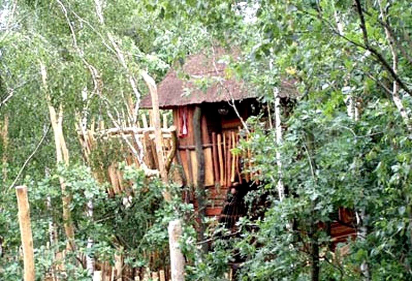 Quirky Treehouses in Germany With Views of River Neisse