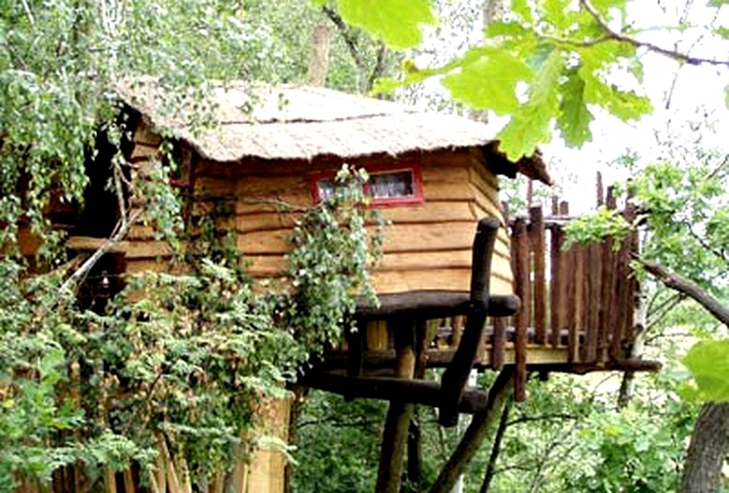 Quirky Treehouses in Germany With Views of River Neisse