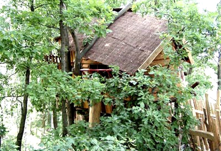 Tree Houses (Neißeaue, Saxony, Germany)