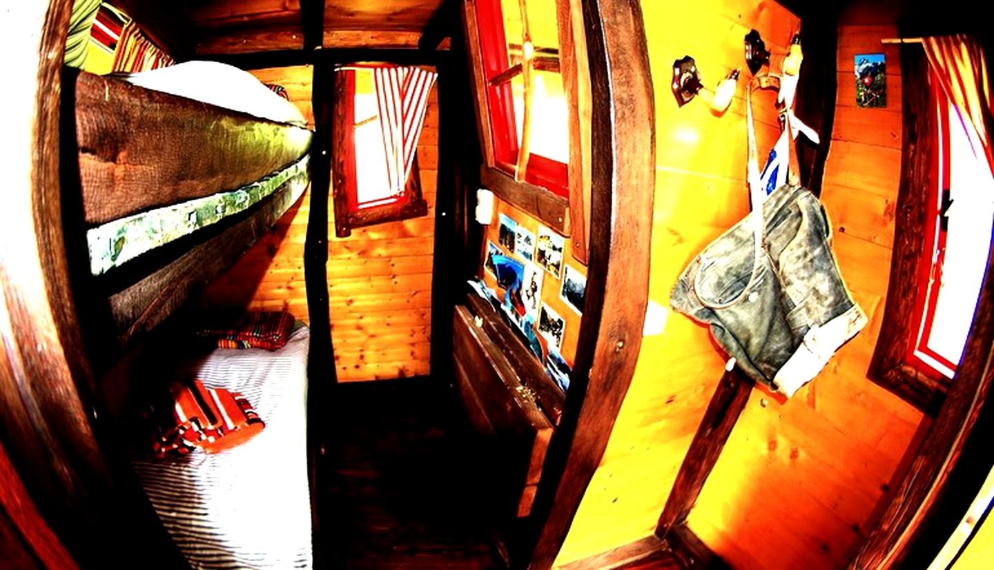 Quirky Treehouses in Germany With Views of River Neisse