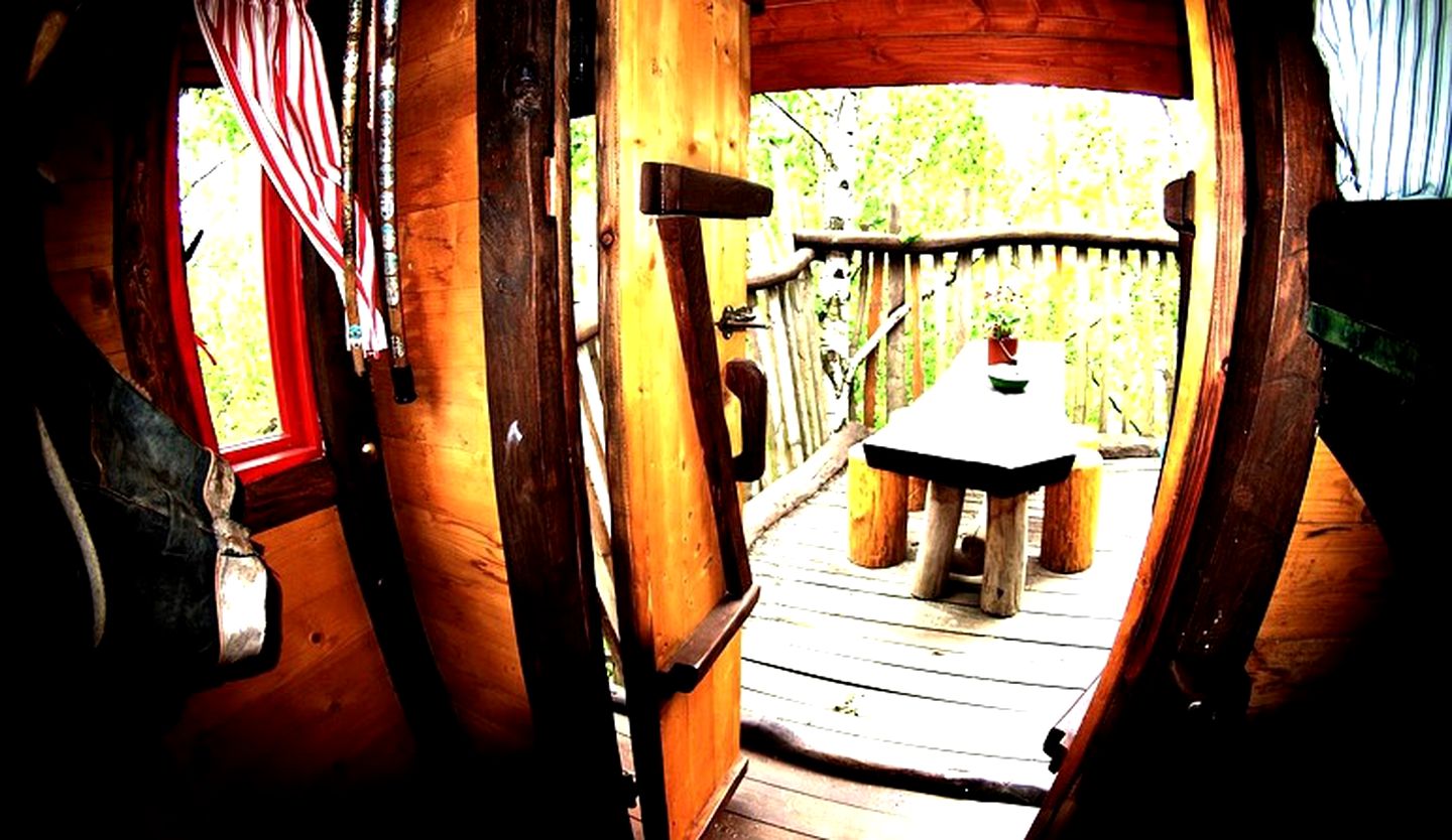 Quirky Treehouses in Germany With Views of River Neisse