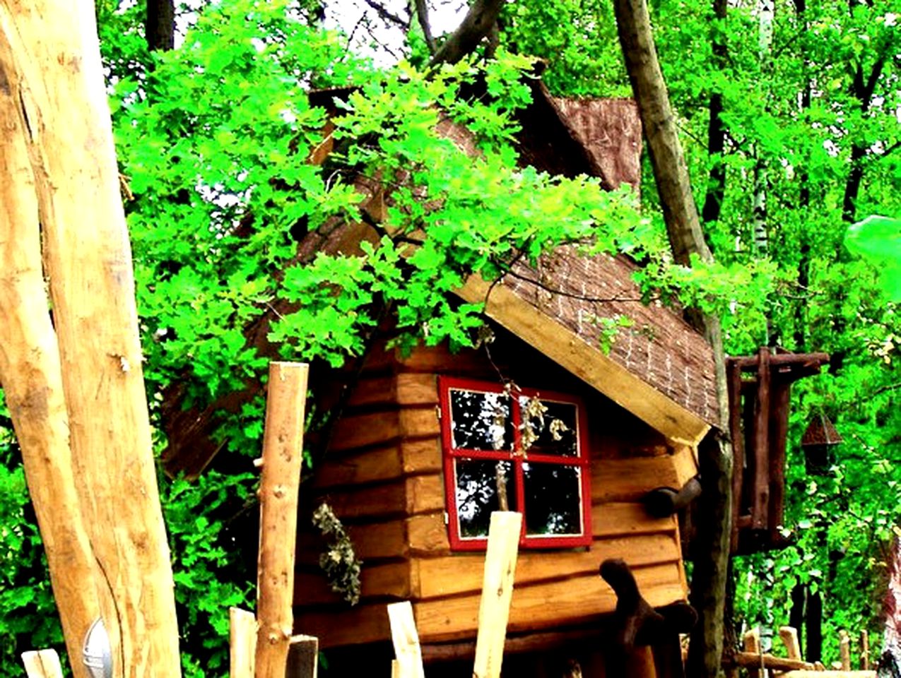Quirky Treehouses in Germany With Views of River Neisse