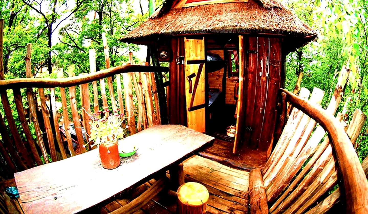 Tree Houses (Neißeaue, Saxony, Germany)