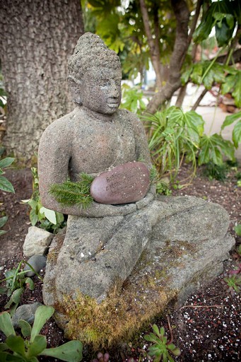 Villas (United States of America, Stinson Beach, California)