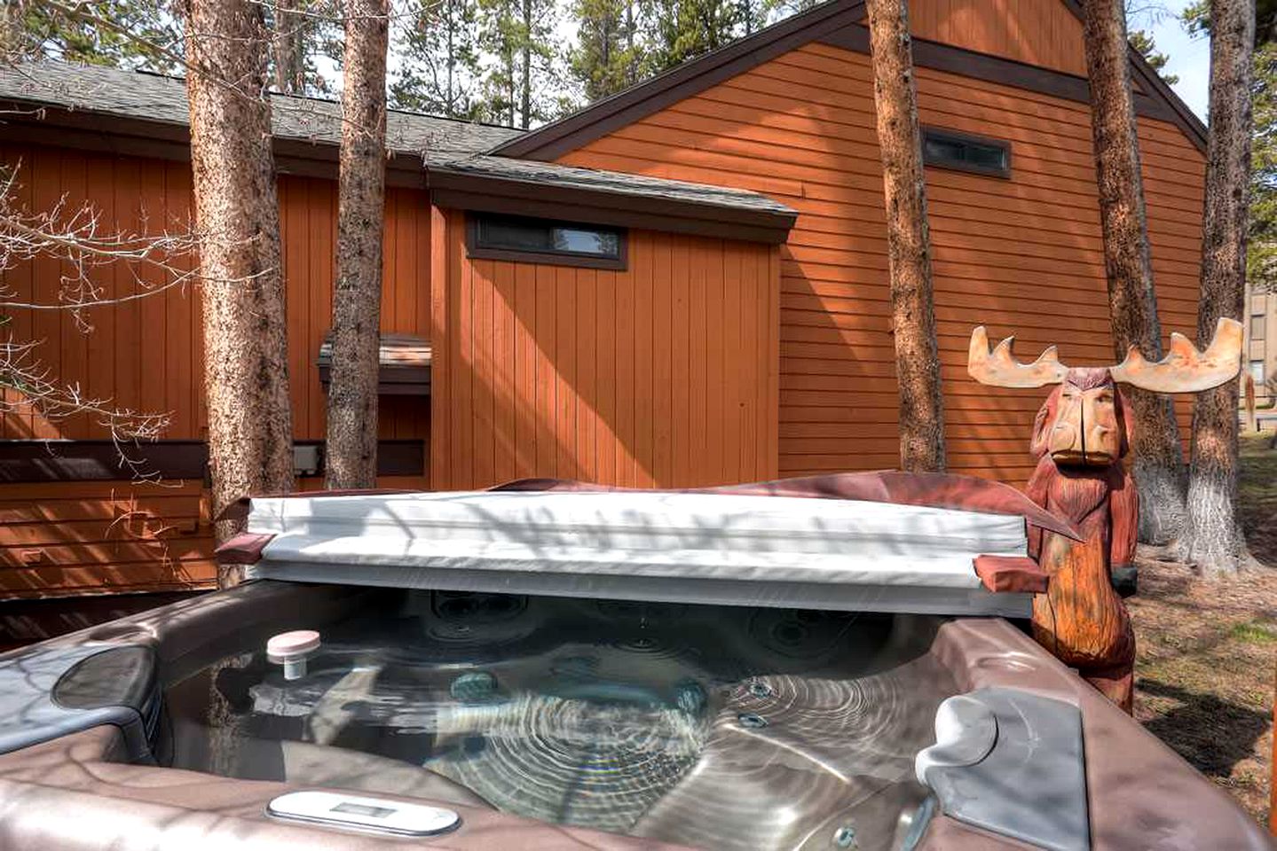 Lovely Cabin Rental for a Mountain Retreat near Breckenridge, Colorado