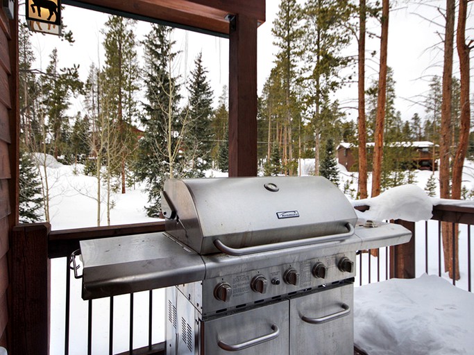 Cabins (Breckenridge, Colorado, United States)