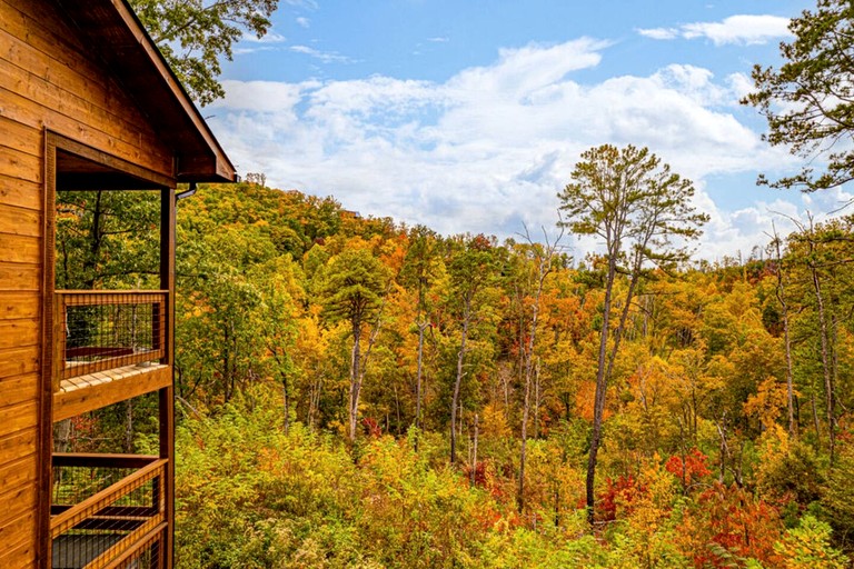 Cabins (United States of America, Pigeon Forge, Tennessee)