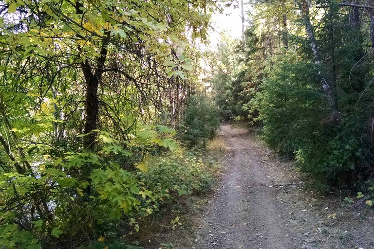 Caravans (Klamath River, California, United States)