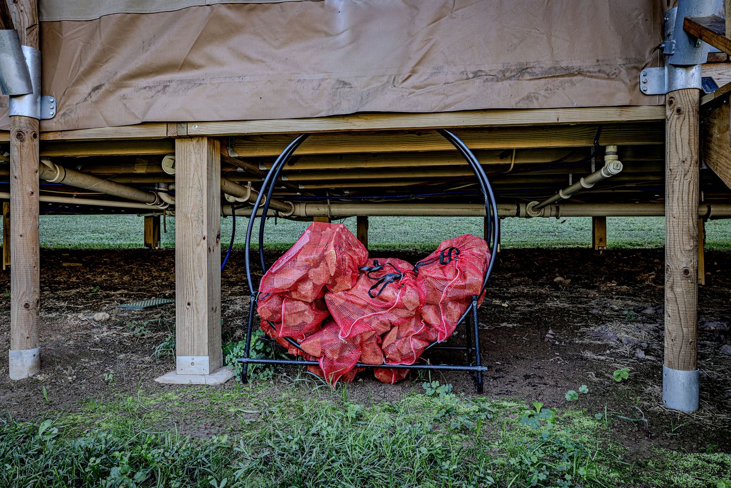 Radiant Safari Tent Escape near Smoky Mountains in Tennessee