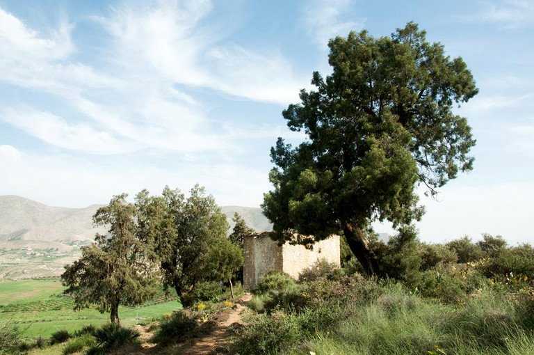 Cabins (Tafoughalt, Oriental Region, Morocco)