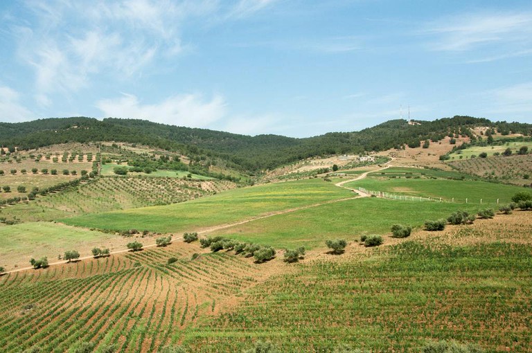 Nature Lodges (Tafoughalt, Oriental Region, Morocco)