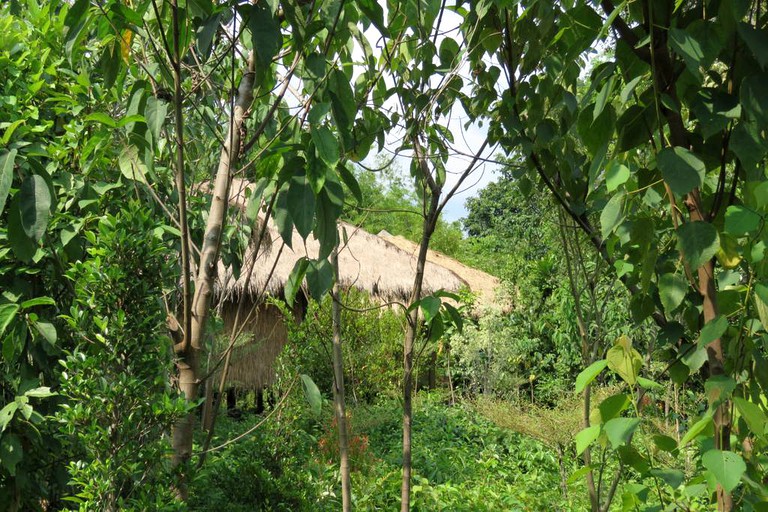 Cabins (Tatai, Koh Kong Province, Cambodia)