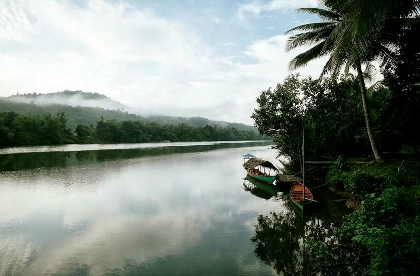 Peaceful Cabin Accommodation in the Rainforest near the Peam Krasaop Wildlife Sanctuary, Cambodia