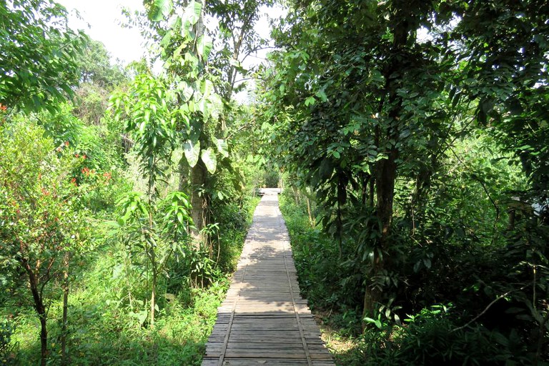 Cabins (Tatai, Koh Kong Province, Cambodia)