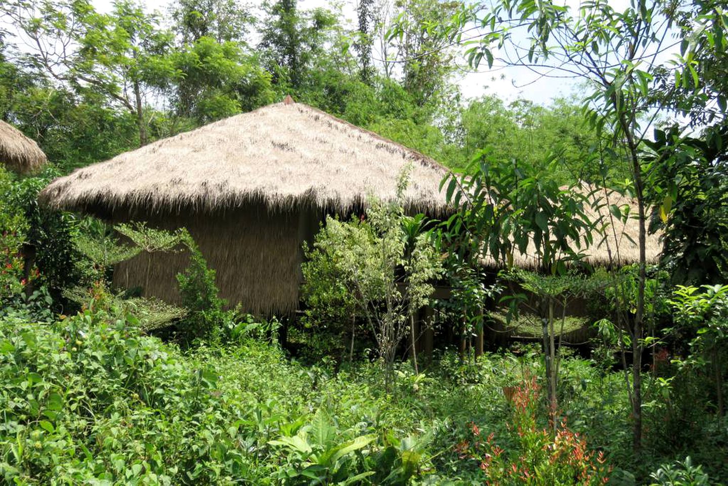 Tranquil Cabin Rental with Kayaking Trips Available on the Tatai River of Cambodia