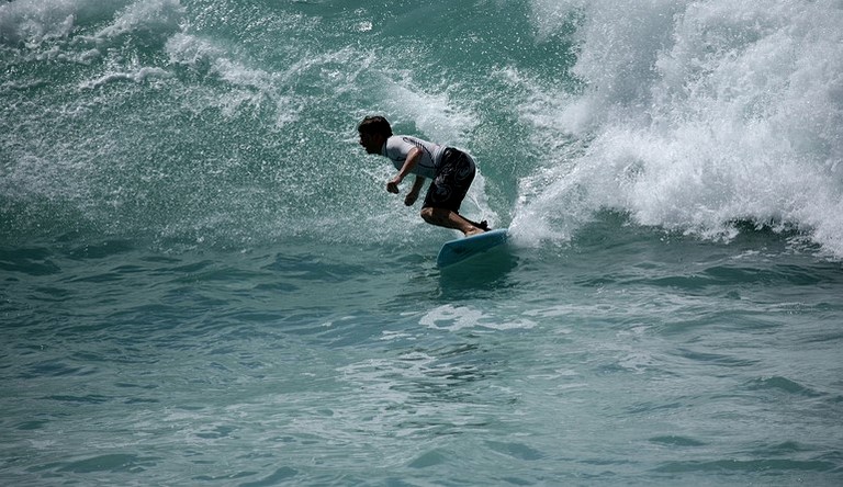 Cabins (Puerto Jiménez, Puntarenas, Costa Rica)