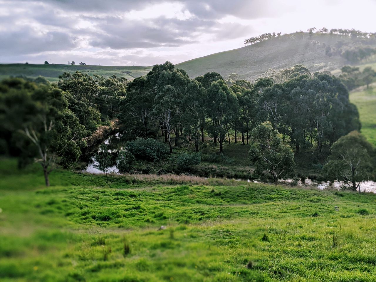 Minimalist Tiny Home Rental for Glamping in Victoria