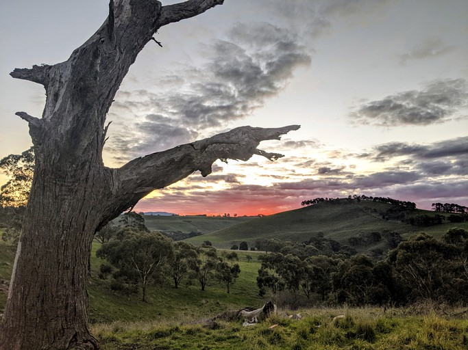 Tiny Houses (Sarsfield, Victoria, Australia)