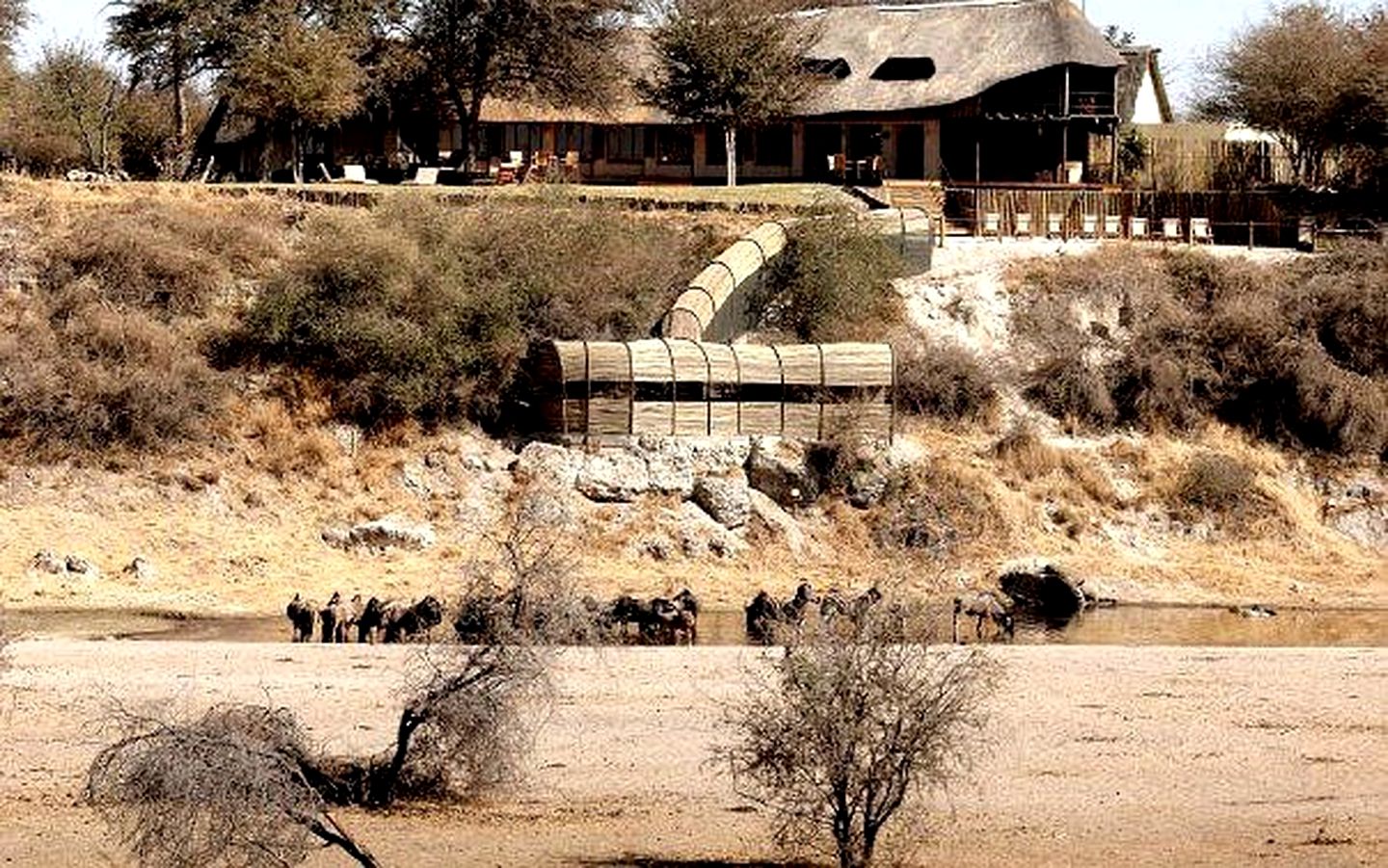 Raised Riverside Thatch Chalets on Boteti River in Botswana