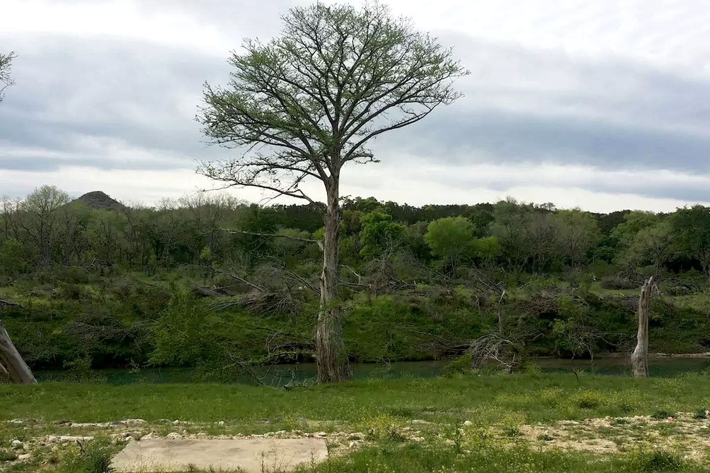Cozy Cottage Rental along the Blanco River in Wimberley, Texas
