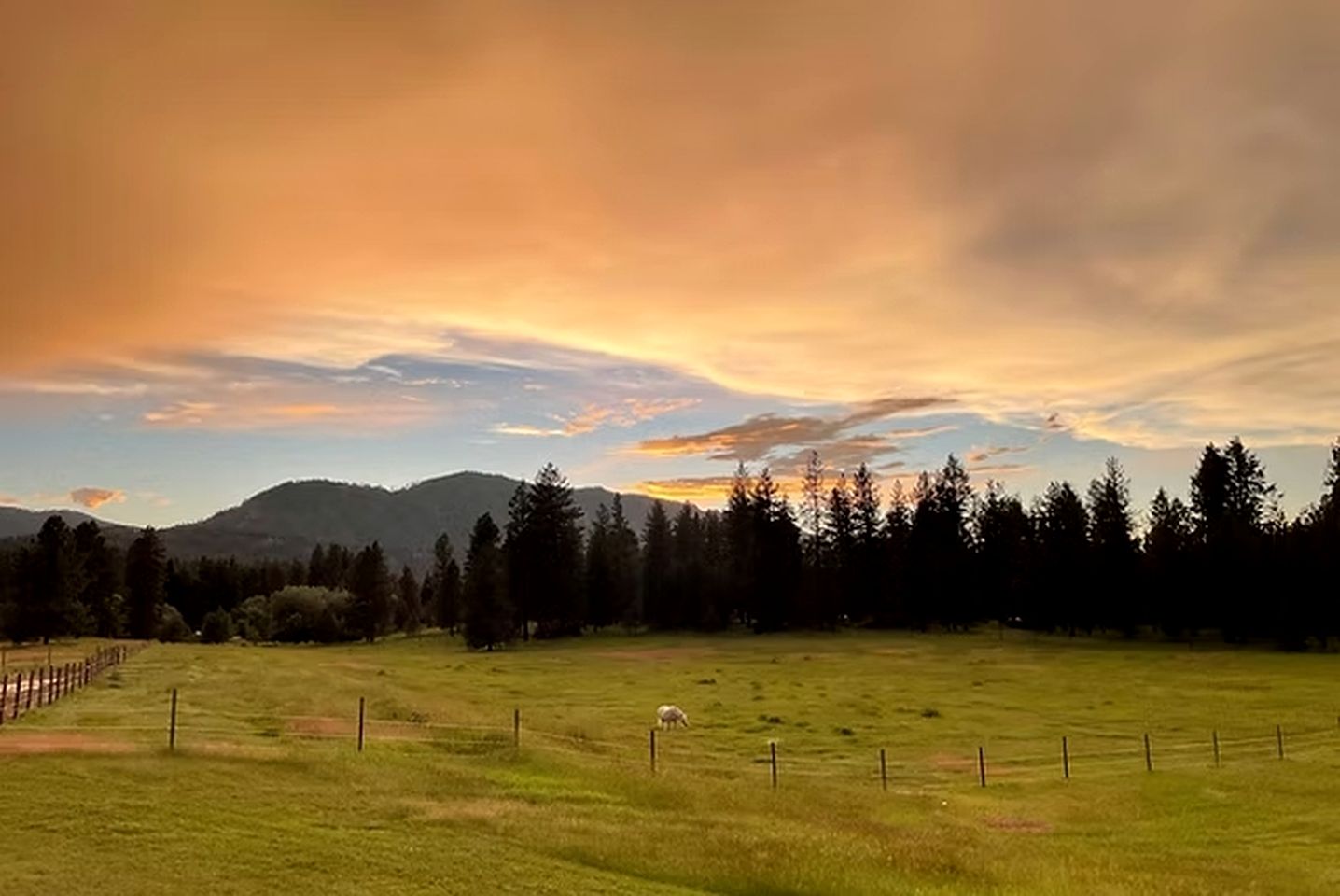 Cozy Tiny House Surronded by Thompson Falls and the Montana Mountains