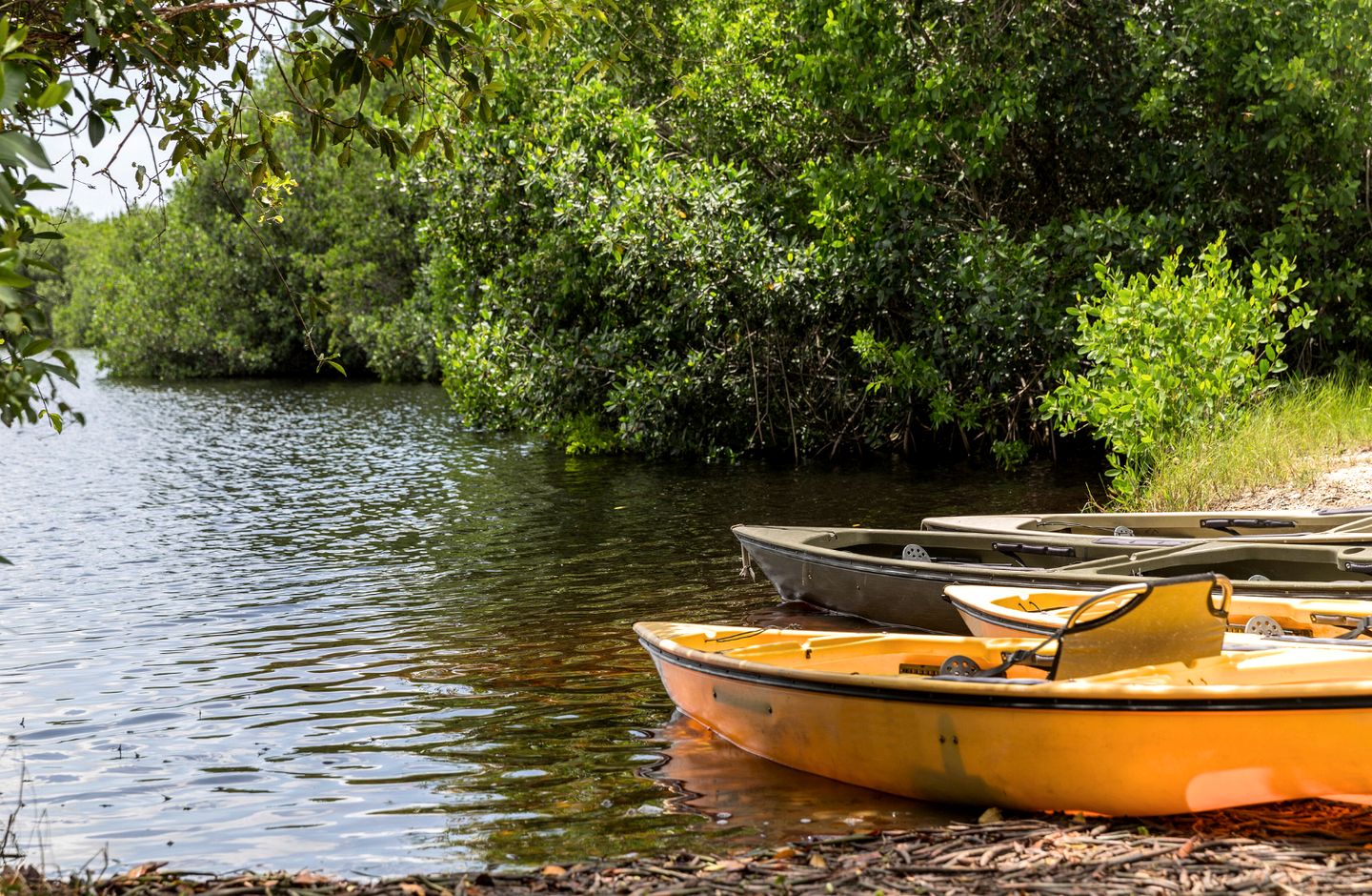 Ranch Glamping Safari Tent near the Lake in Livingston, Texas