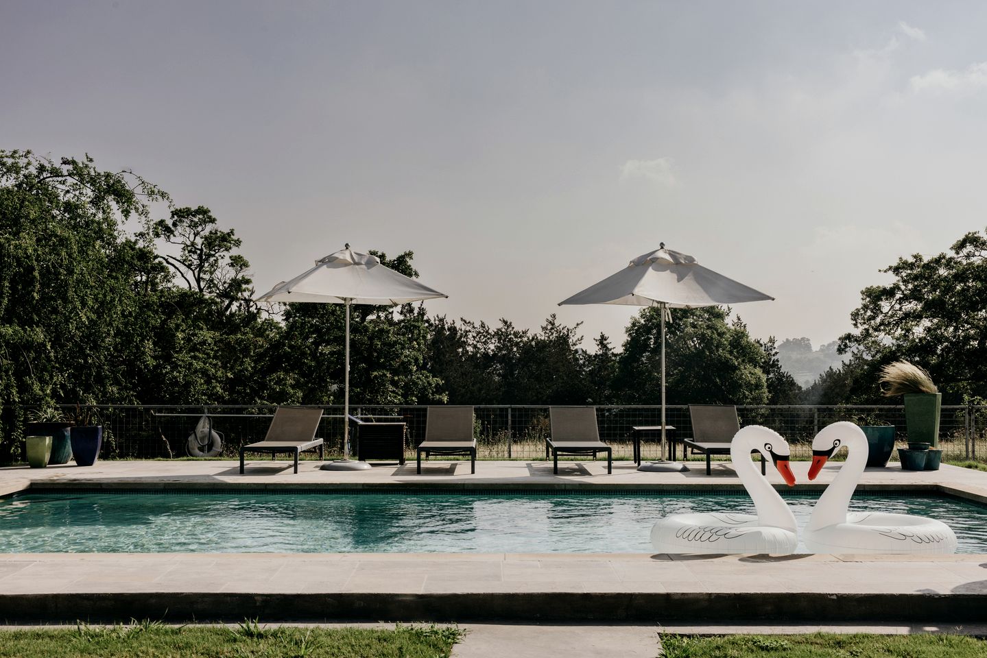 Heavenly Chic Ranch with Outdoor Pool and Impressive Backyard in Texas