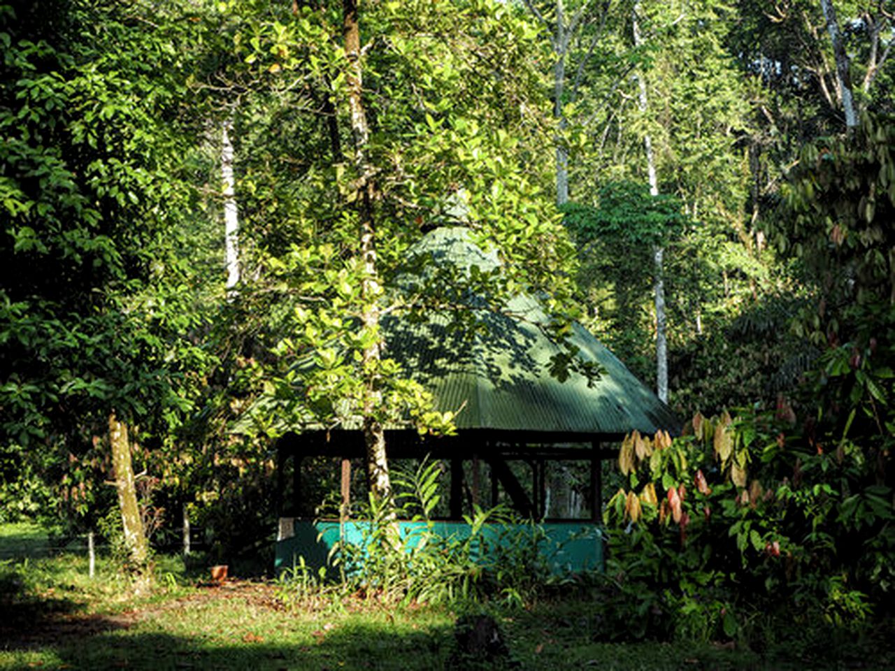 Jungle Hut in Tropical Gardens for Glamping in Costa Rica