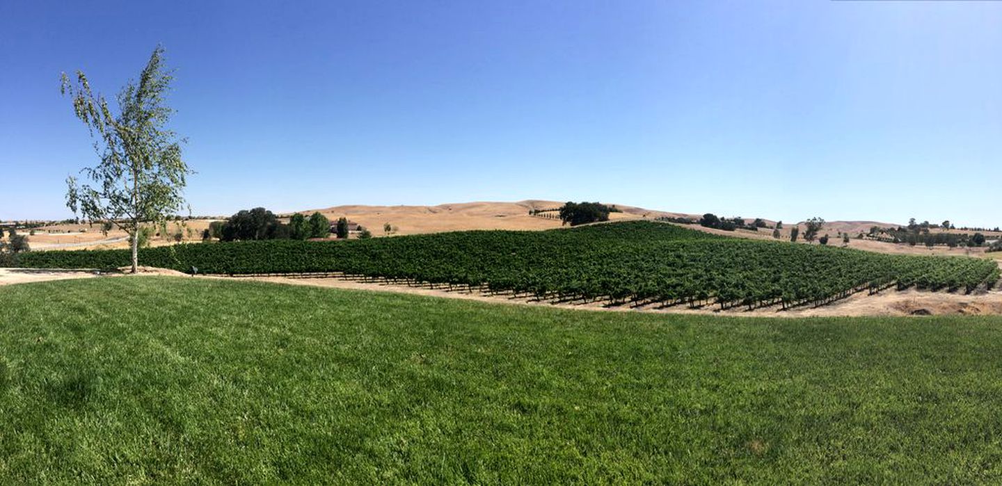 Spacious Luxury Getaway with Vineyard Views in Paso Robles, California