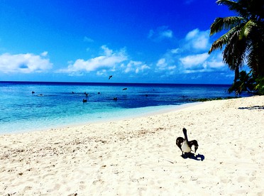 Ranguana Caye photo 5