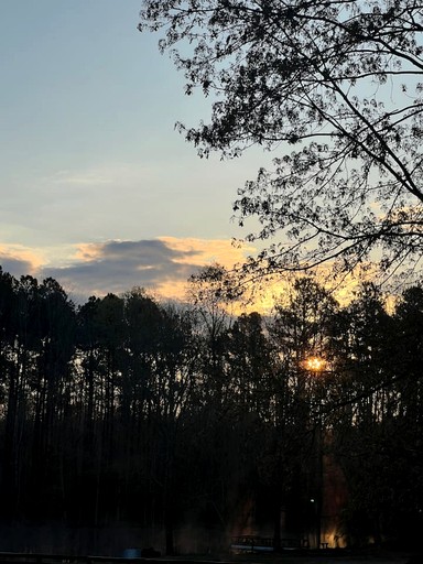 Tiny Houses (United States of America, Littleton, North Carolina)