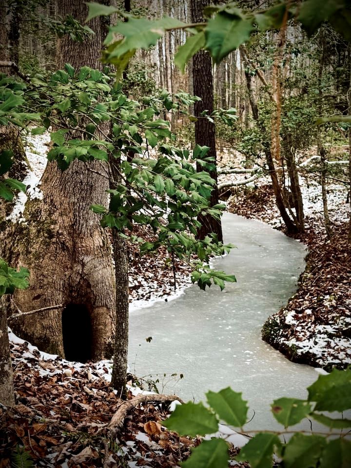 Peaceful Hobbit Hideaway with Stocked Pond, Goats & Fire Pits near Littleton, NC