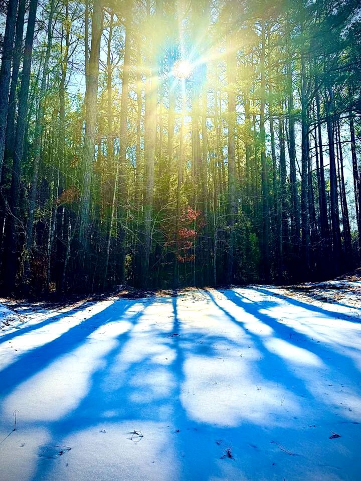 Peaceful Hobbit Hideaway with Stocked Pond, Goats & Fire Pits near Littleton, NC