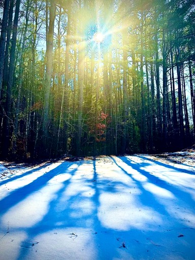 Tiny Houses (United States of America, Littleton, North Carolina)