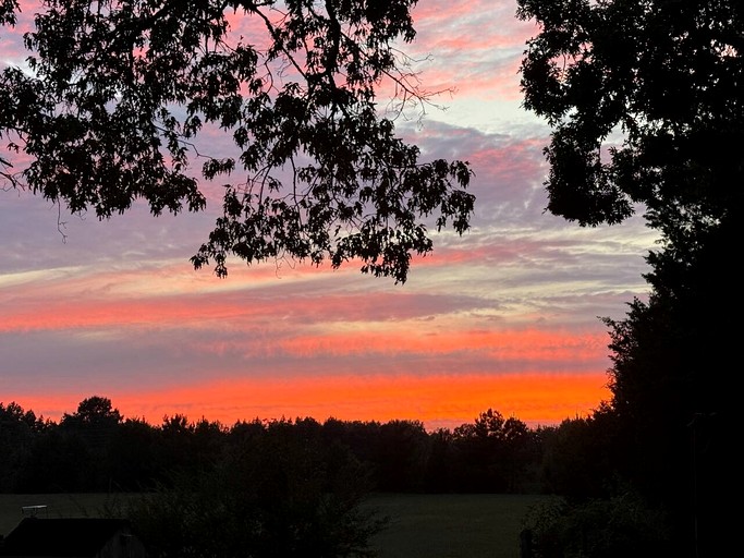 Tiny Houses (United States of America, Littleton, North Carolina)