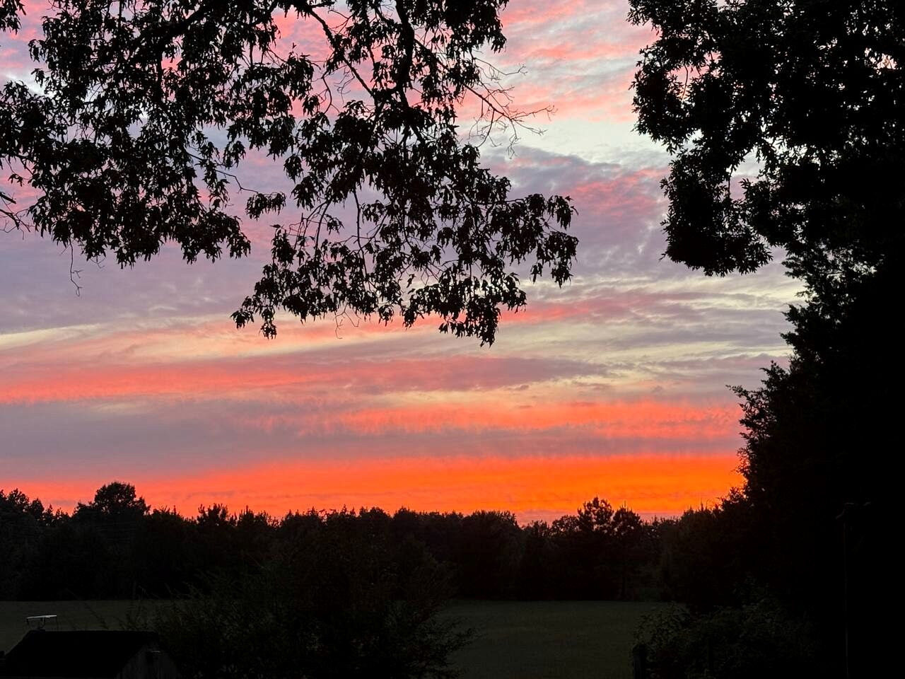 Peaceful Hobbit Hideaway with Stocked Pond, Goats & Fire Pits near Littleton, NC