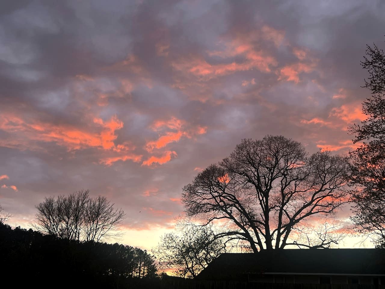 Peaceful Hobbit Hideaway with Stocked Pond, Goats & Fire Pits near Littleton, NC