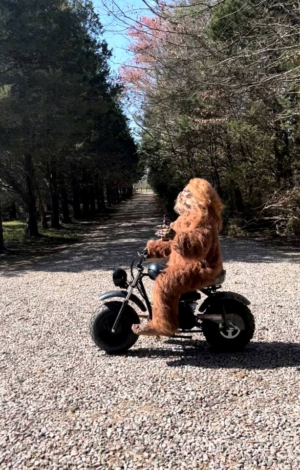 Peaceful Hobbit Hideaway with Stocked Pond, Goats & Fire Pits near Littleton, NC