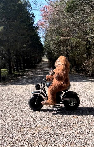 Tiny Houses (United States of America, Littleton, North Carolina)