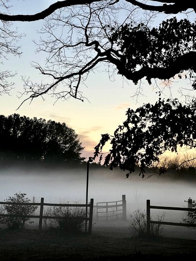 Tiny Houses (United States of America, Littleton, North Carolina)
