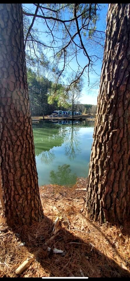 Peaceful Hobbit Hideaway with Stocked Pond, Goats & Fire Pits near Littleton, NC