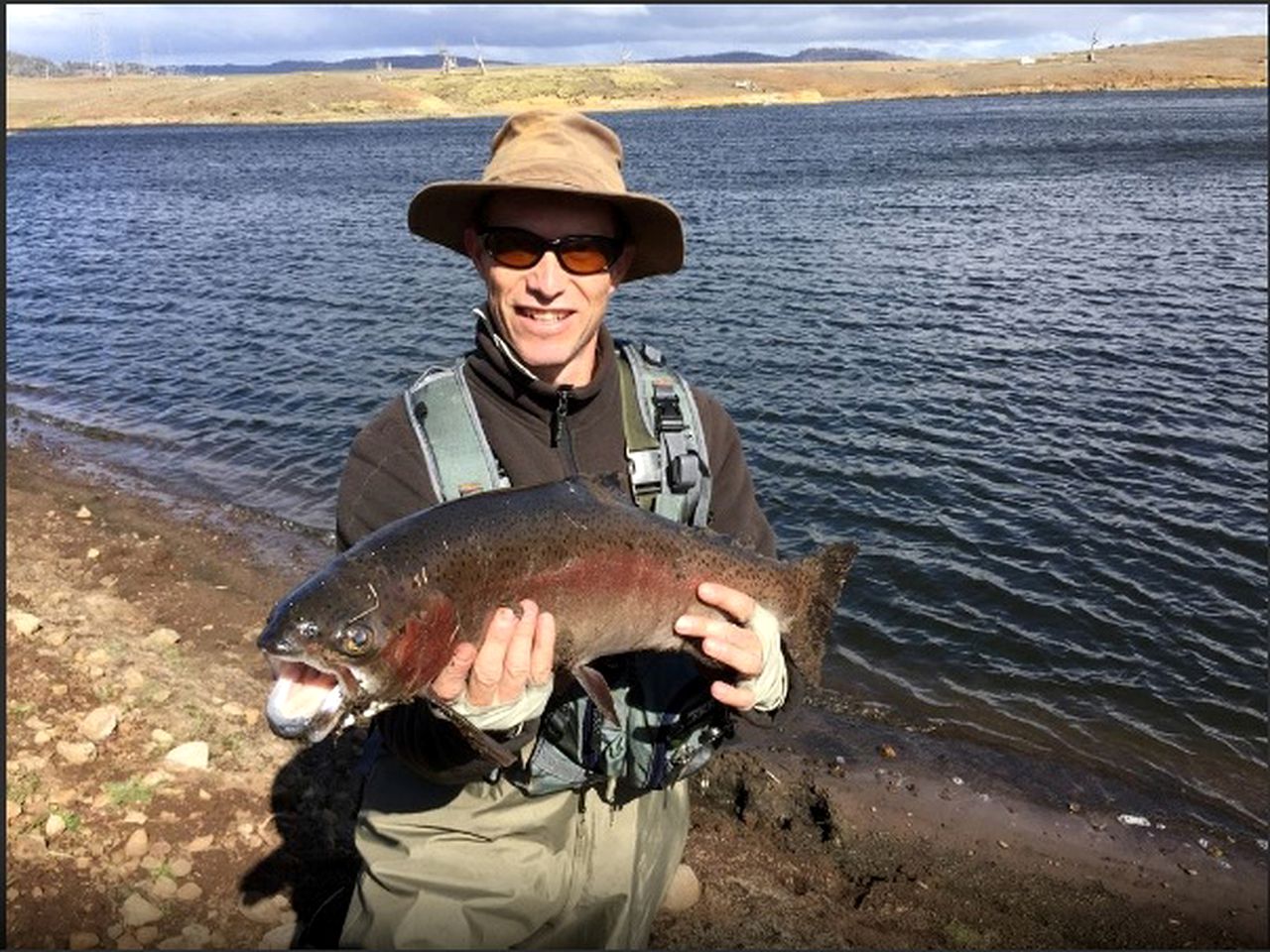 Sunny Room Rentals for a Family Getaway near Hobart, Tasmania