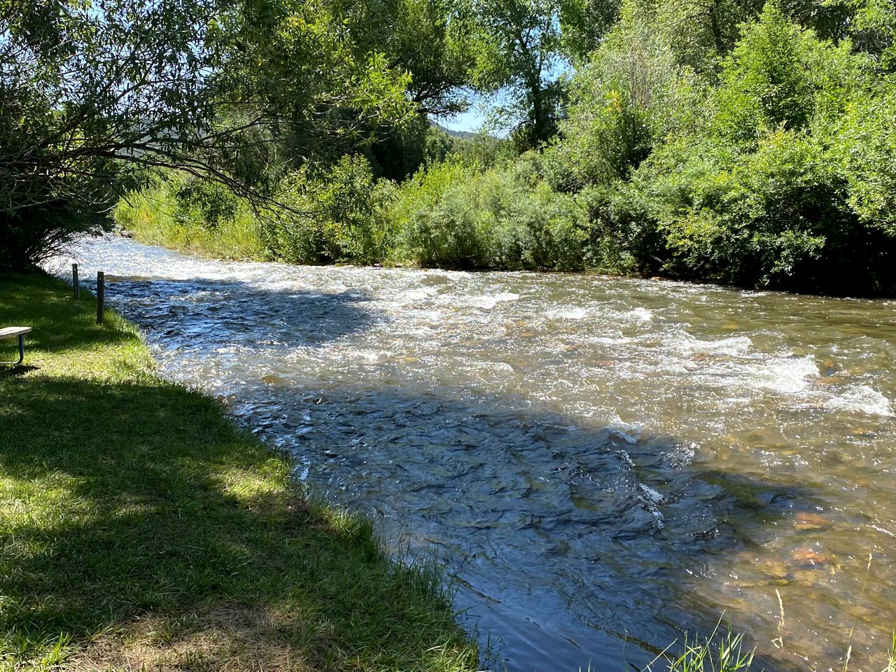 Create Lasting Memories: Family-Friendly Rustic Cabin in New Mexico's Backcountry