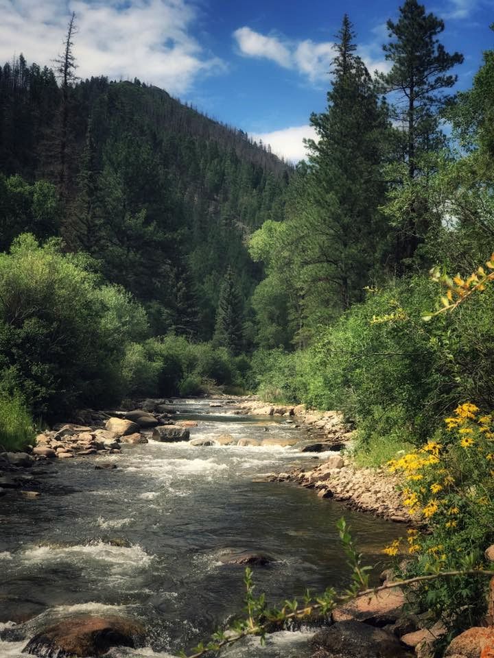 Create Lasting Memories: Family-Friendly Rustic Cabin in New Mexico's Backcountry