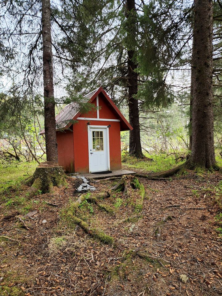 Gorgeous Secluded Cabin Nestled in the Middle of the Forest in Seward, Alaska