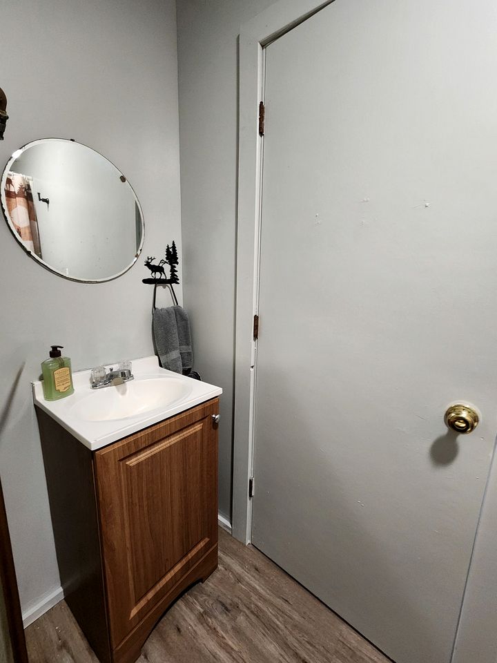 Gorgeous Secluded Cabin Nestled in the Middle of the Forest in Seward, Alaska