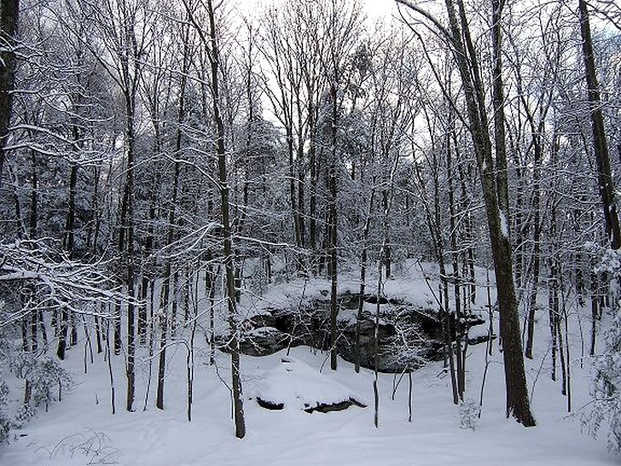 Nature Lodges (Olivebridge, New York, United States)