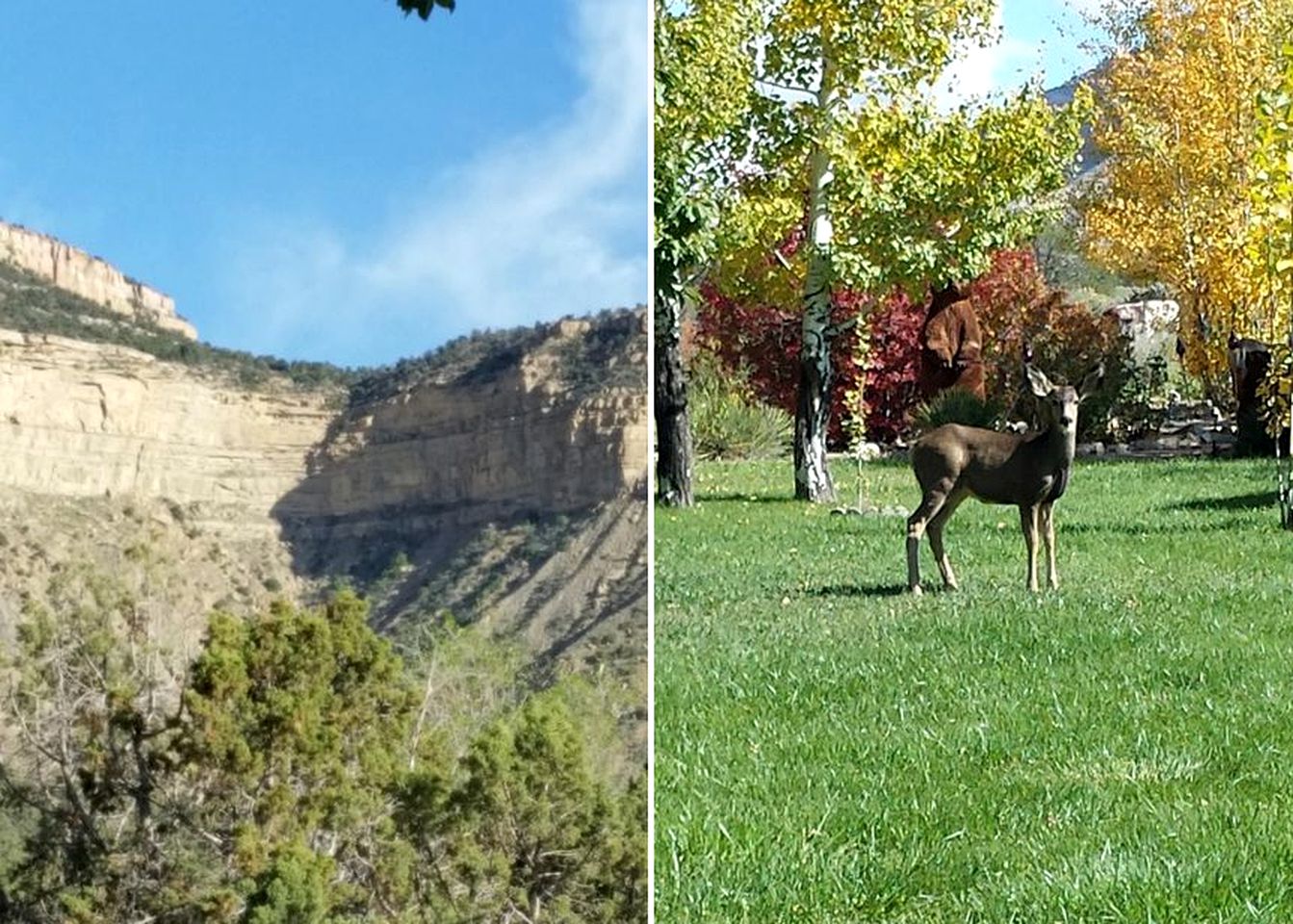 Stunning Studio Cottage for a Desert Vacation to Cortez, Colorado
